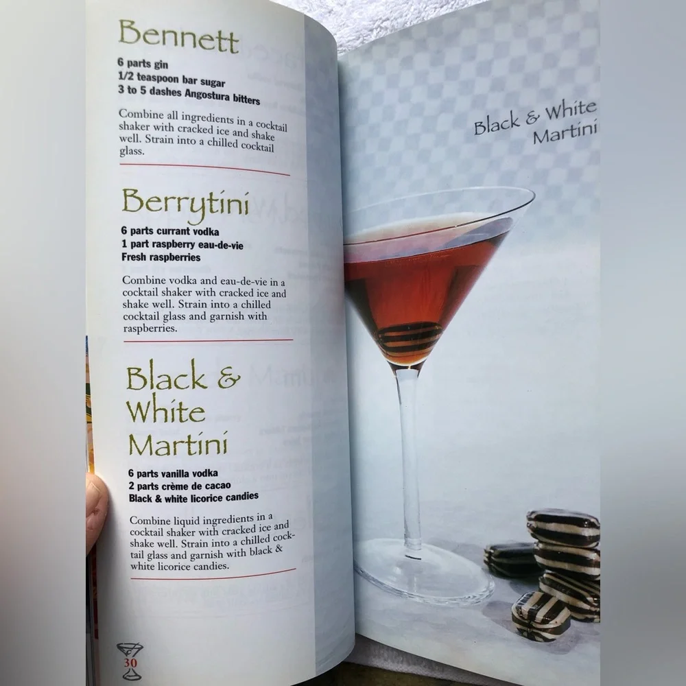 Z Gallerie Martini Book